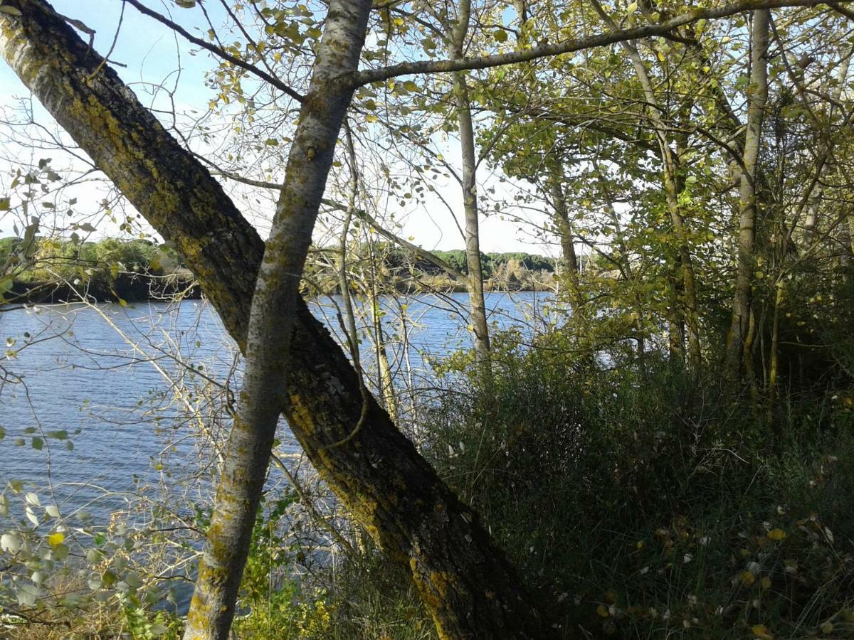 Pinar De Las Cabanuelas Villanueva de Duero 外观 照片