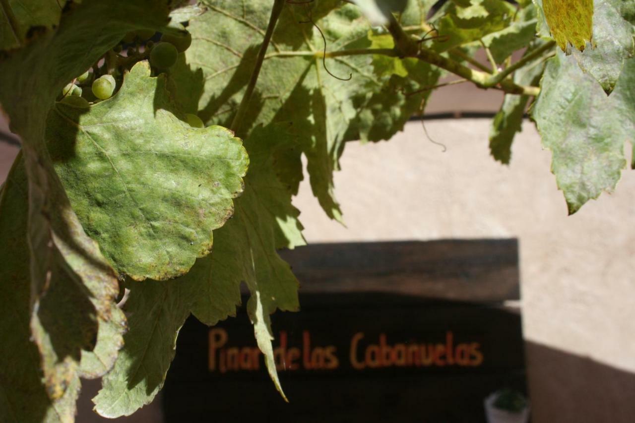 Pinar De Las Cabanuelas Villanueva de Duero 外观 照片
