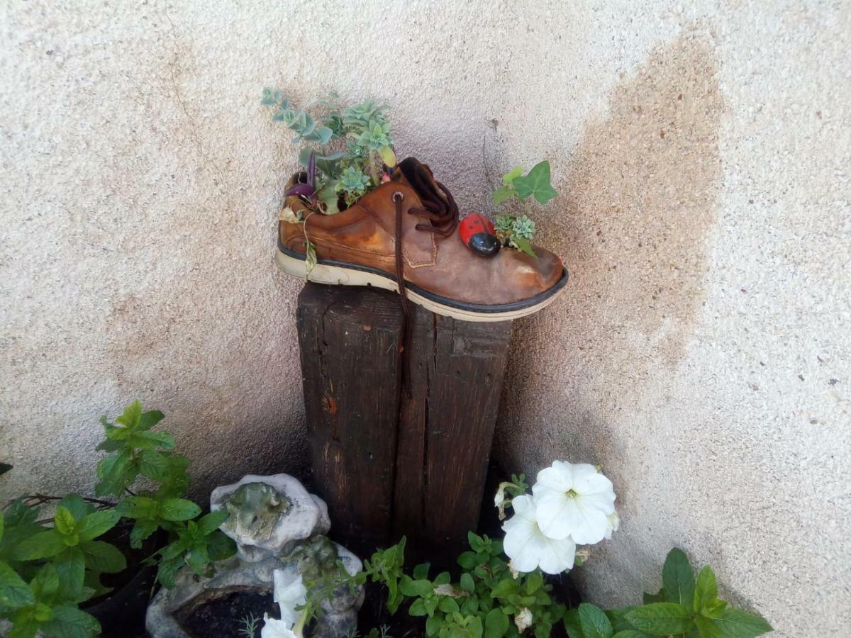 Pinar De Las Cabanuelas Villanueva de Duero 外观 照片