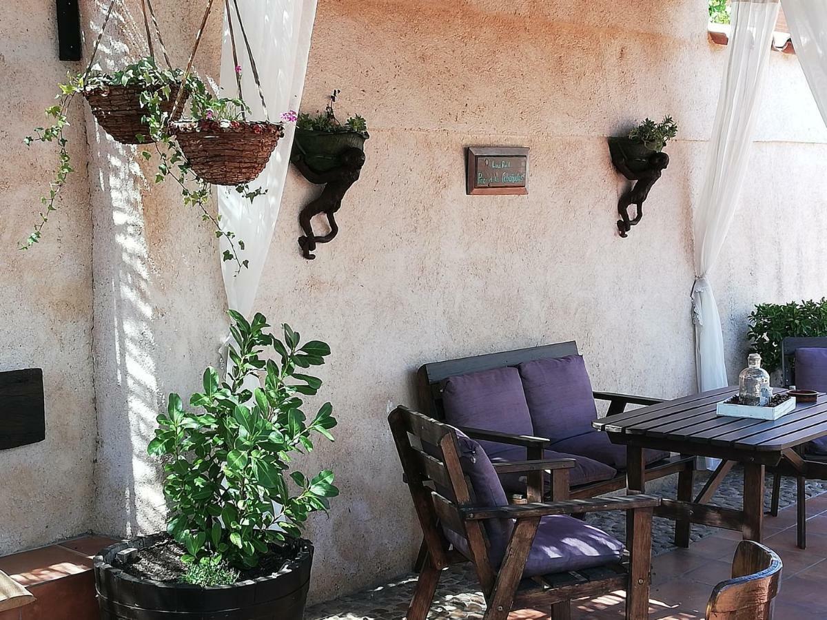 Pinar De Las Cabanuelas Villanueva de Duero 外观 照片