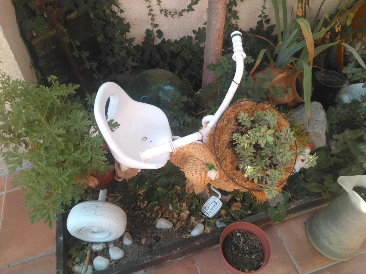 Pinar De Las Cabanuelas Villanueva de Duero 外观 照片
